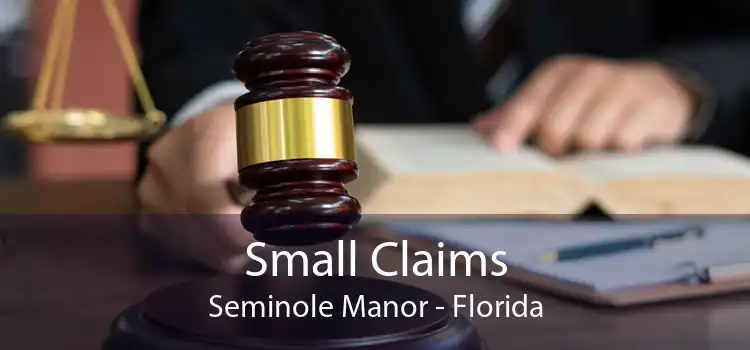 Small Claims Seminole Manor - Florida