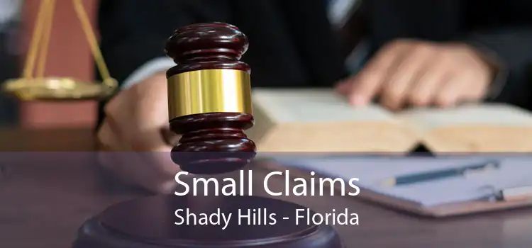 Small Claims Shady Hills - Florida