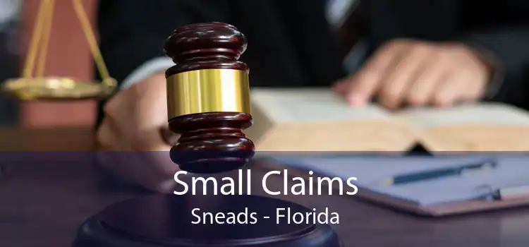 Small Claims Sneads - Florida