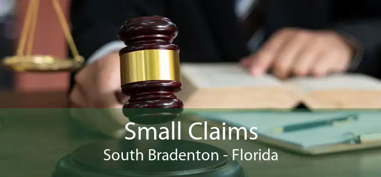 Small Claims South Bradenton - Florida