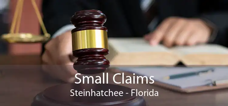 Small Claims Steinhatchee - Florida