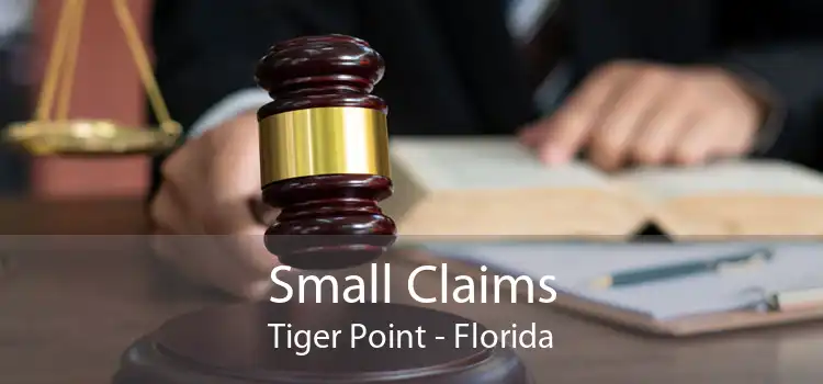 Small Claims Tiger Point - Florida