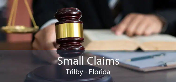 Small Claims Trilby - Florida