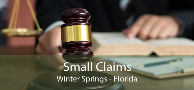 Small Claims Winter Springs - Florida